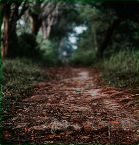 empty-outdoor-trail-tranquil